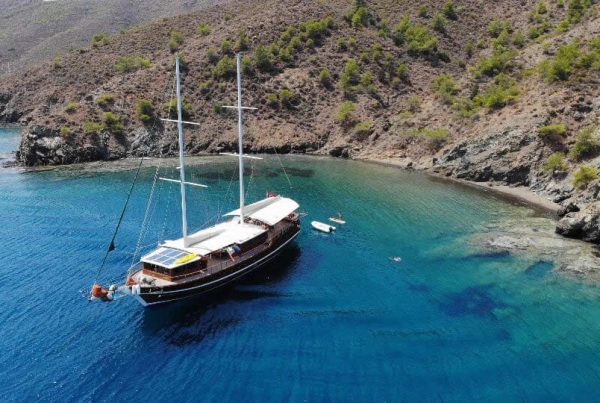 IMG-20181117-WA0023-1