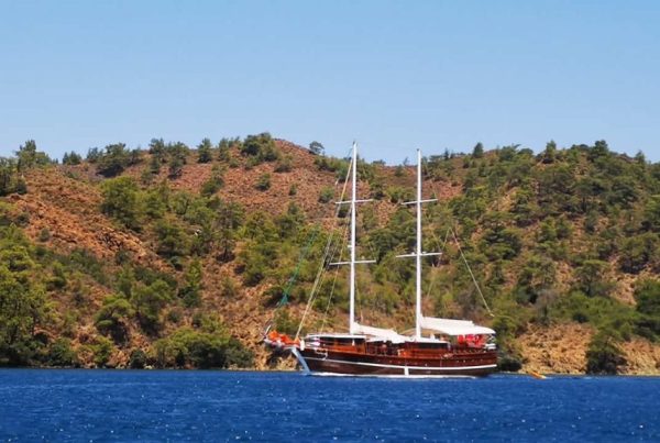 IMG-20181117-WA0031-1-1024x576-1