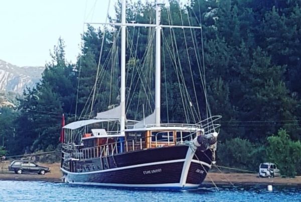 IMG-20181117-WA0038-1-1024x576-1