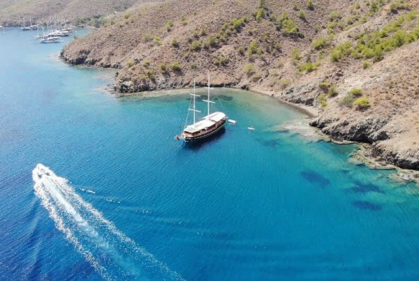 IMG-20181117-WA0047-1