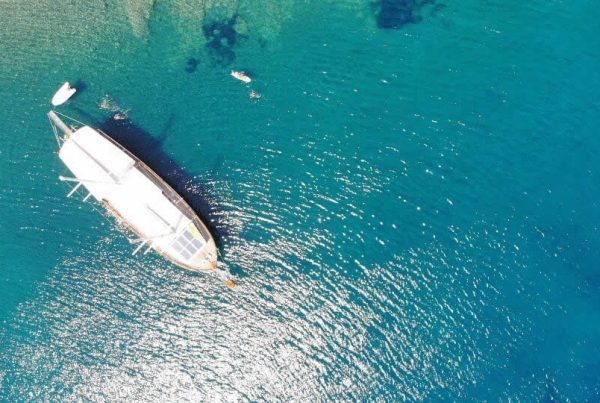 IMG-20181117-WA0048-1