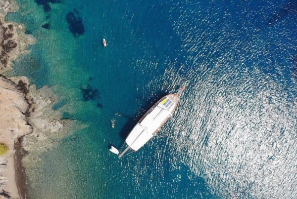 IMG-20181117-WA0049-1