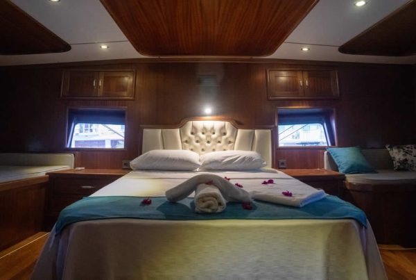 IMG-20190821-WA0011-1024x683-1