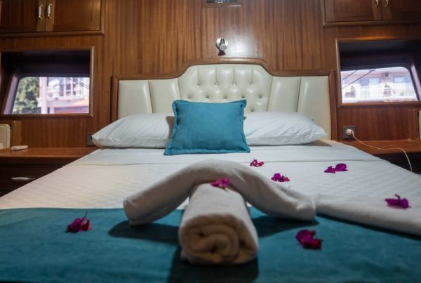 IMG-20190821-WA0018-1024x683-1