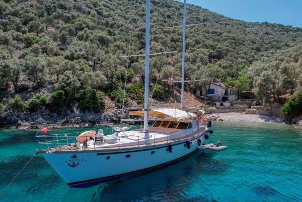 WhatsApp-Image-2022-05-15-at-20.36.32