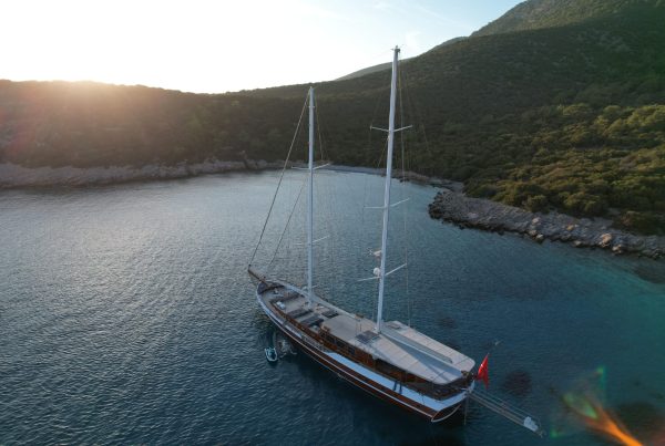 WhatsApp Image 2024-03-05 at 20.27.51