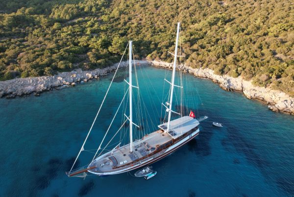 WhatsApp Image 2024-03-05 at 20.27.52 (1)