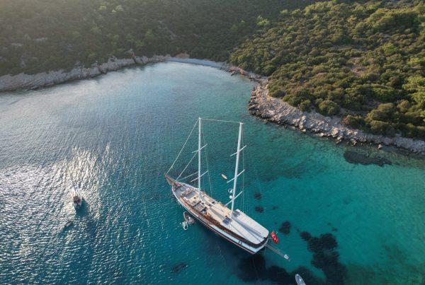 WhatsApp Image 2024-03-05 at 20.27.53