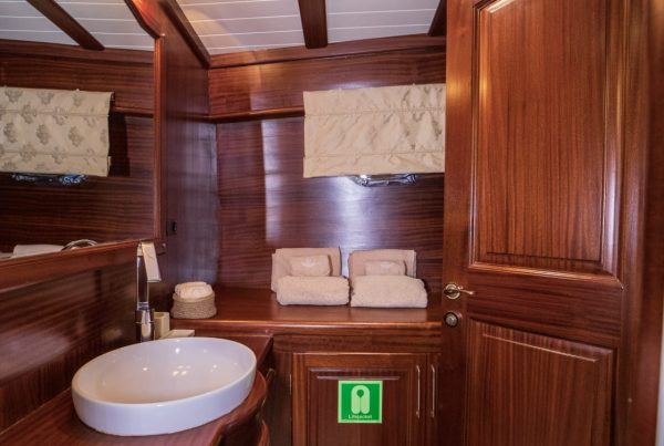 WhatsApp Image 2024-03-05 at 20.27.56