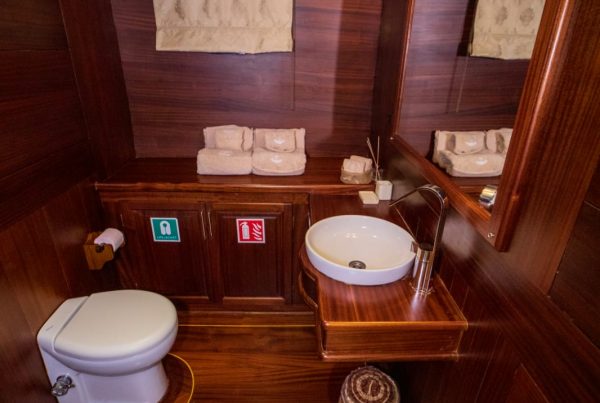 WhatsApp Image 2024-03-05 at 20.27.57 (3)