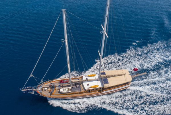 PHOTO-2026-01-24-11-26-32 3