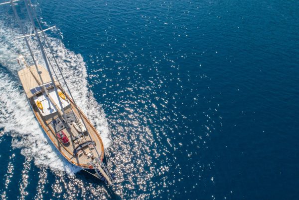 PHOTO-2026-01-24-11-26-32