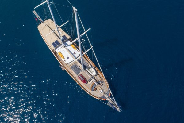 PHOTO-2026-01-24-11-26-33